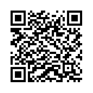 DSi Calendar Installation QR Code
